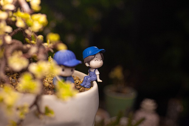 cactus, child, nature, cute, floral dress, garden, plant, plant care, pot, small, succulent, vertical shot