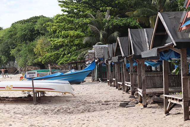 Free Beach Coast photo and picture