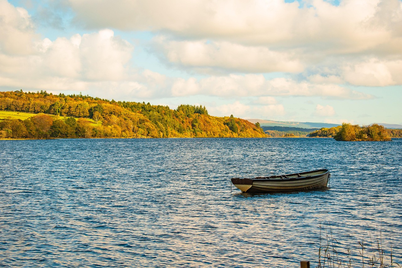 Lac Nature Barque - Photo gratuite sur Pixabay - Pixabay