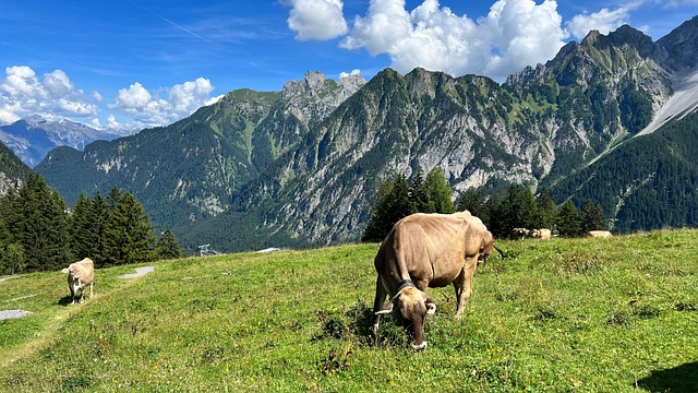 Free Allgäu Mountains photo and picture