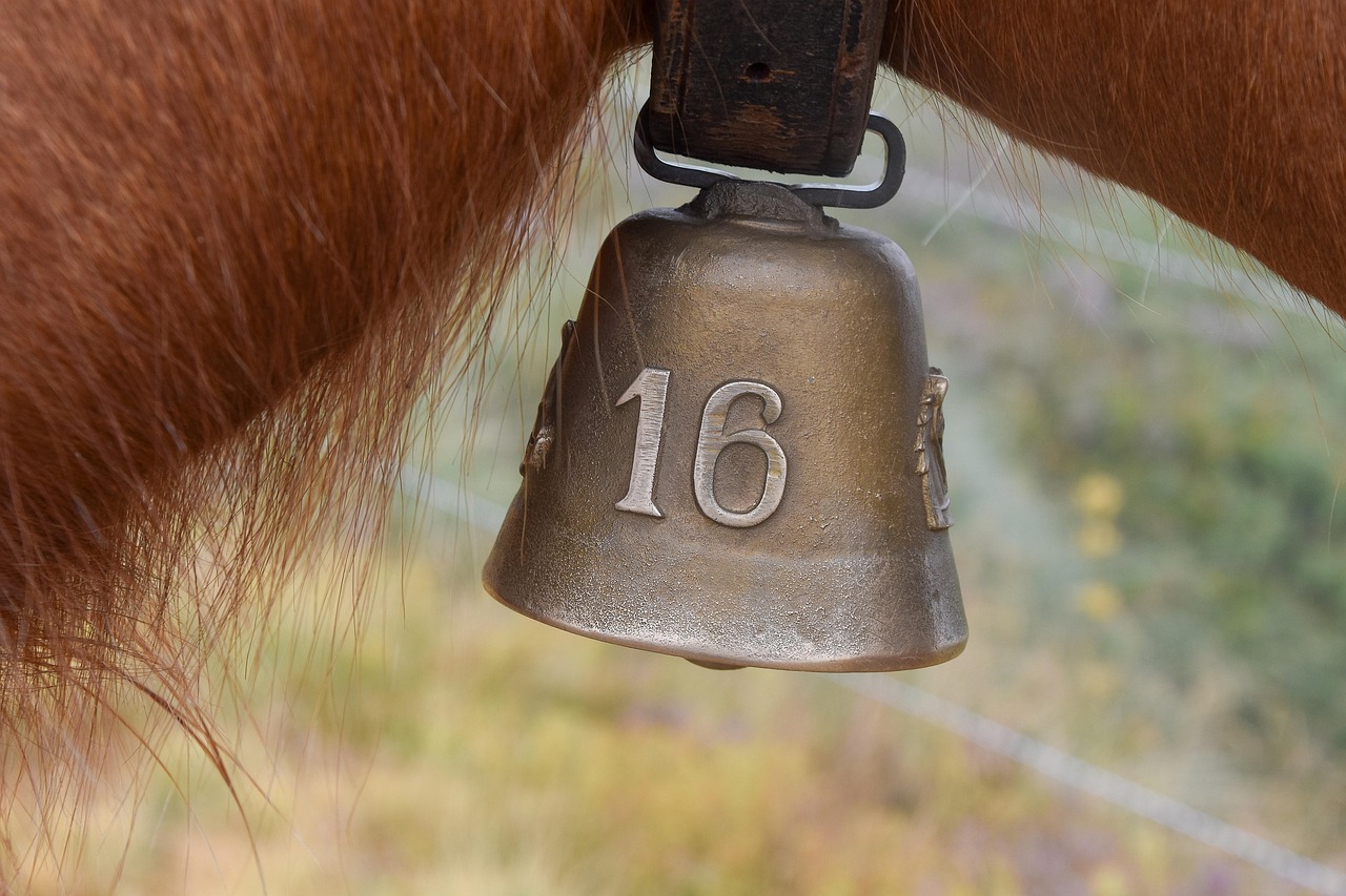 Bell - free online jigsaw puzzle photo
