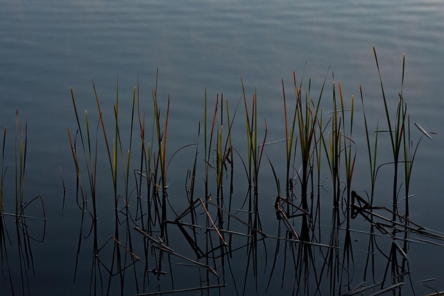 Vand, Sø, Solnedgang, Stilhed, Rolige