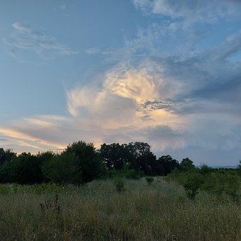 Wolke, Natur, Landschaft, Himmel, Wald
