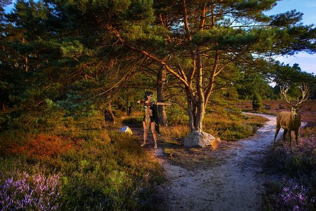 Download free HD stock image of Elk Archer Free elk archer pathway illustration