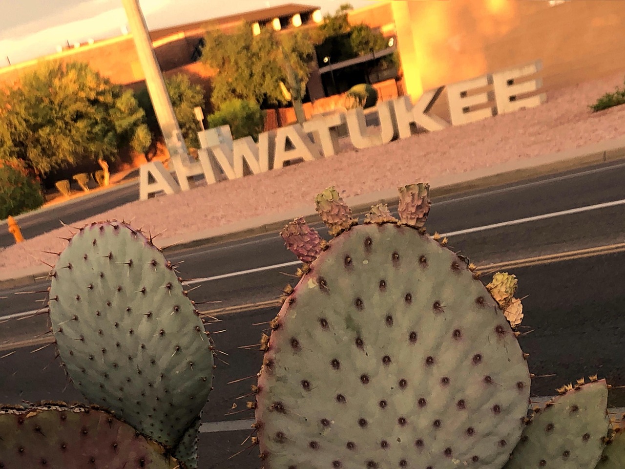 Ahwatukee Phoenix Urban Village Free photo on Pixabay Pixabay