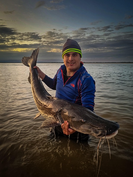 Catch of the Day: Top Strategies for Successful Catfish Fishing