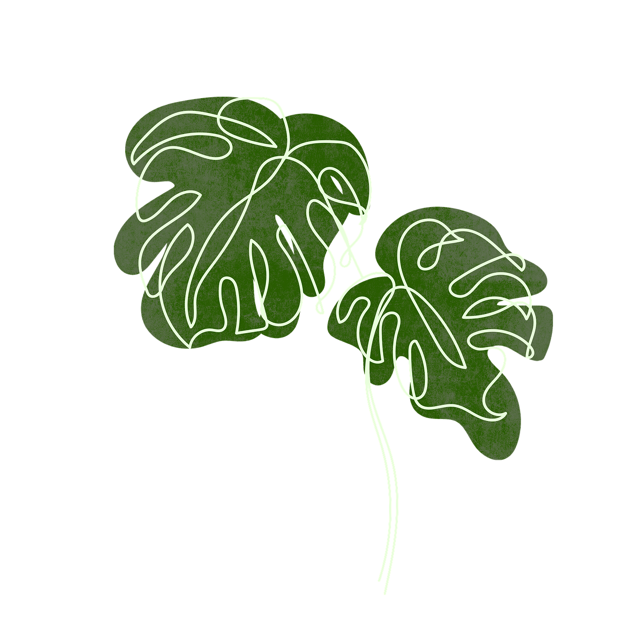 Download Monstera, Plant, Tropical. Royalty-Free Stock Illustration
