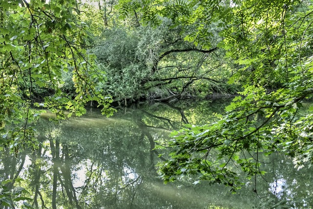 Free Aue Water photo and picture