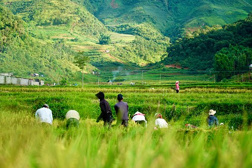 Landschaft, Vietnam, Reisen