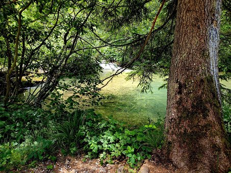 Free Nature Landscape photo and picture