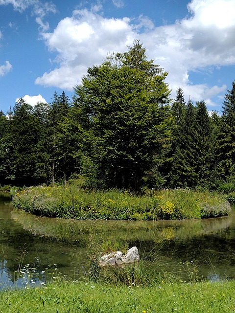 Free Nature Landscape photo and picture