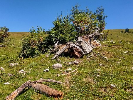 Free Nature Landscape photo and picture