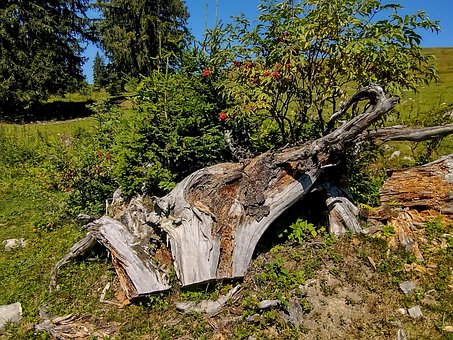 Free Nature Landscape photo and picture