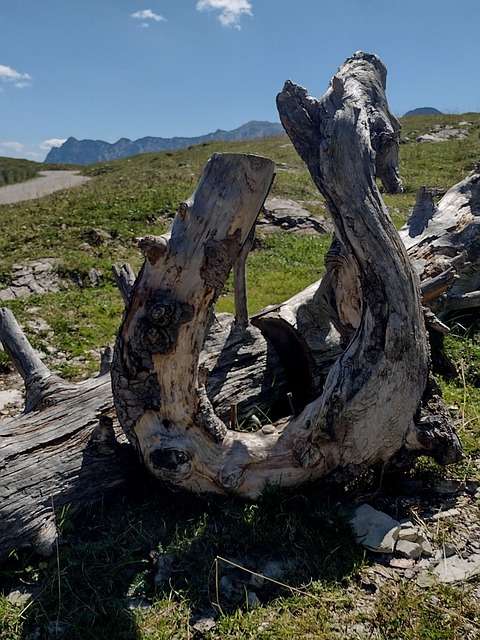 Free Alps Mountains photo and picture