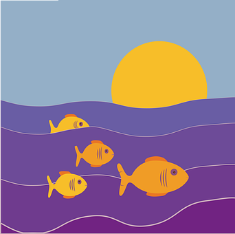 Fisk, Vand, Ocean, Natur, Bølge, Hav