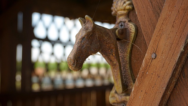 Free Handle The Door photo and picture