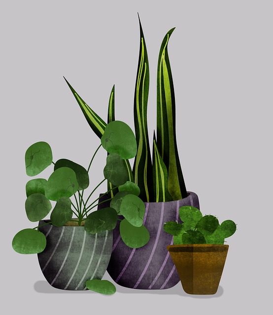 Planter, Boheme Kunststil, Design