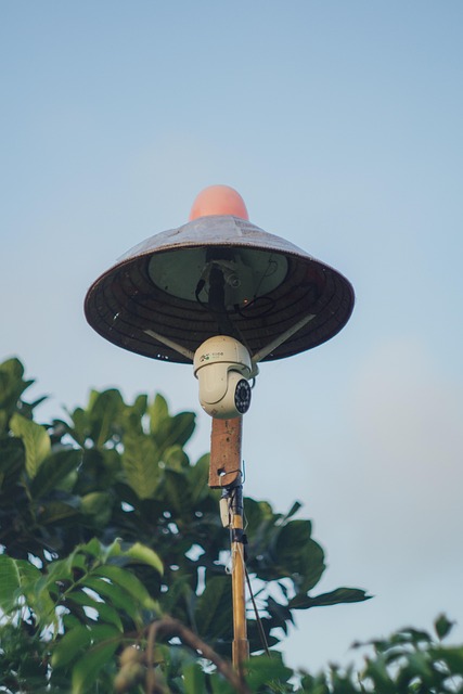 Free Surveillance Camera Camera photo and picture