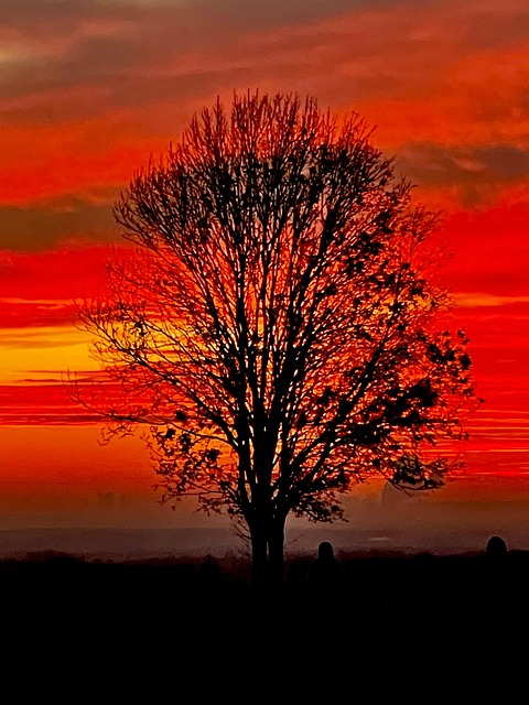 Free Sunset Outdoor photo and picture