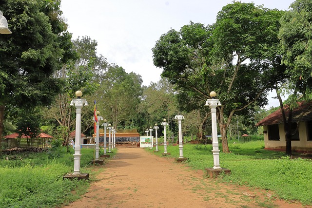 Wattarama Maliyadeva Raja Maha - Kostenloses Foto auf Pixabay - Pixabay