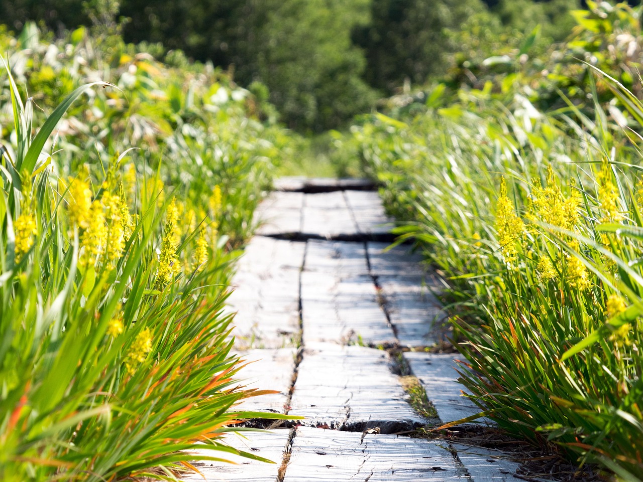 Outdoors - free online jigsaw puzzle photo