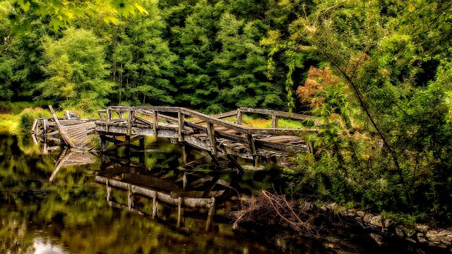 Holzbrücke, Teich, See, Wald, Bäume