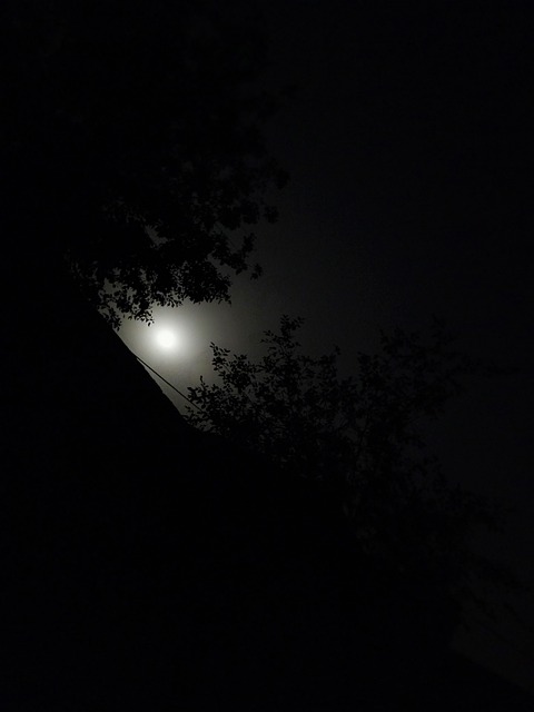 Noche, Solo, Romántico, Luna, Oscuro