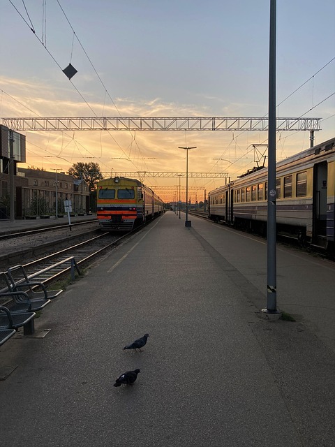 Free Train Railway photo and picture