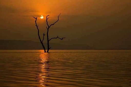 Atardecer, Mar, Agua, Árbol, Pakistán