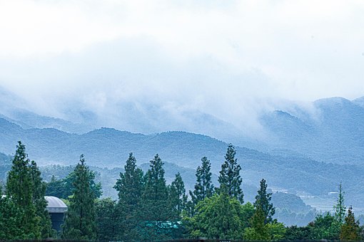 Landschaft, Morgen, Nebel, Berg, Baum
