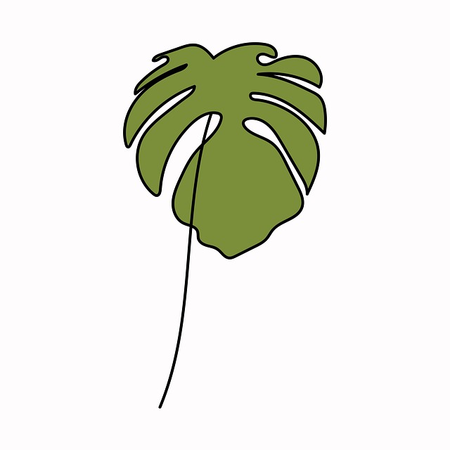 Free monstera boho green illustration