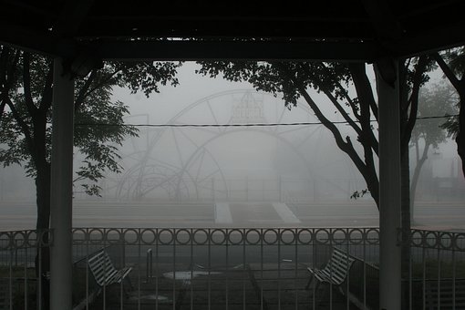 Free Fog Tree photo and picture