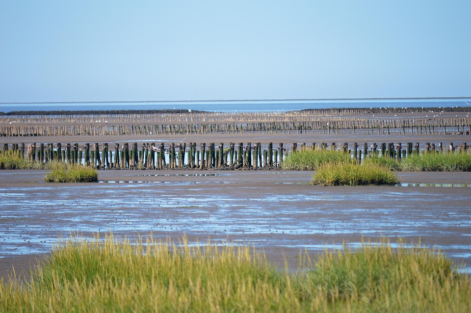 Wattenmeer Nordsee Küstenschutz - Kostenloses Foto auf Pixabay - Pixabay Wattenmeer Nordsee Küstenschutz - Kostenloses Foto auf Pixabay - Pixabay