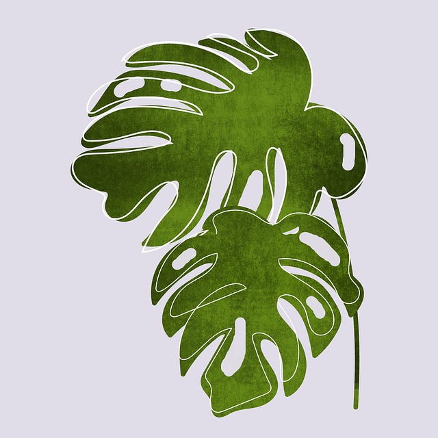 Free assembler nature plant illustration