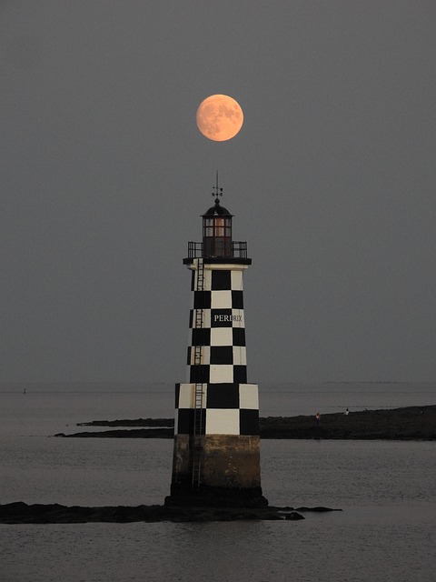Free The Partridge The Moon photo and picture
