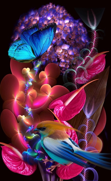 butterfly-7386142_960_720.jpg