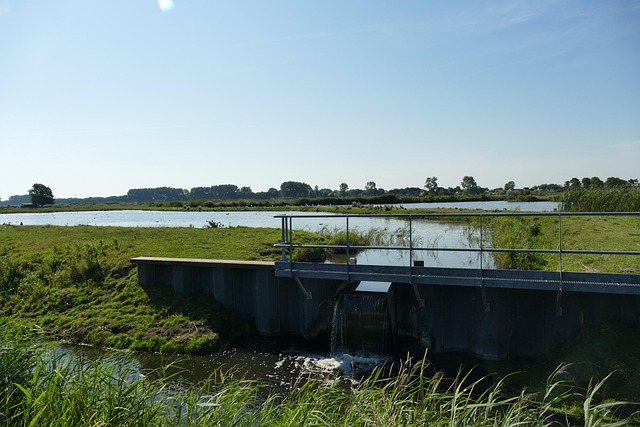 Zone Humide Le Marais Nature - Photo gratuite sur Pixabay - Pixabay