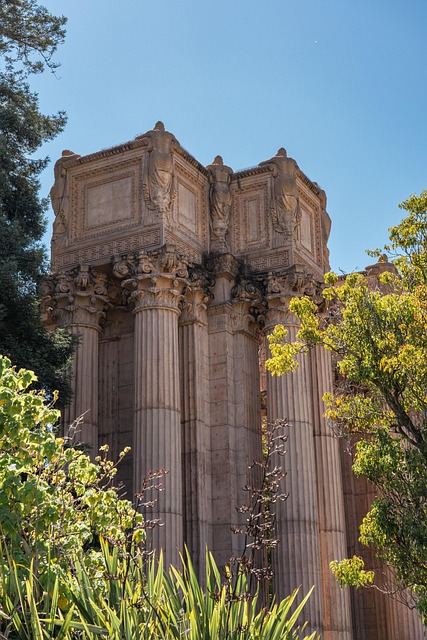 Coloane, Ornamente