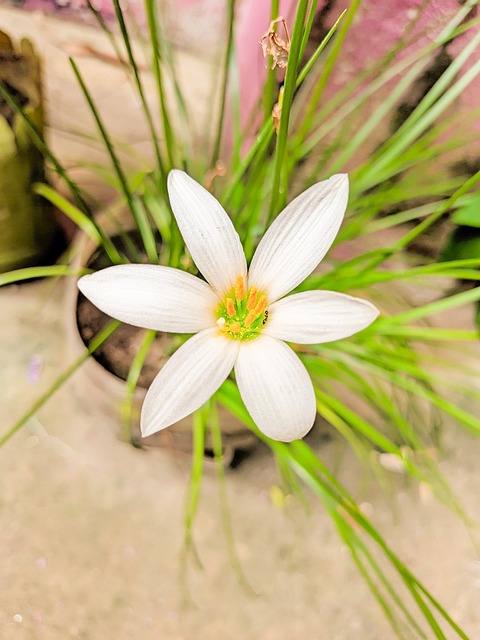 Free Nature Spring photo and picture
