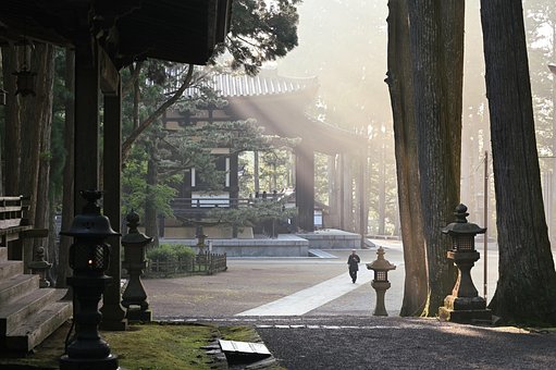 Raios De Sol, Floresta, Templo Koyasan