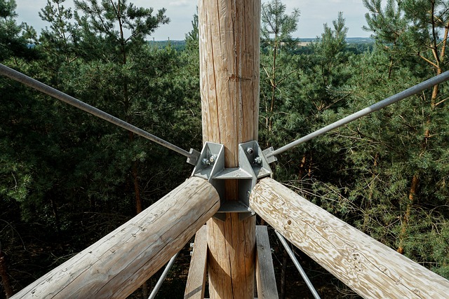 Free Wood Fastening photo and picture