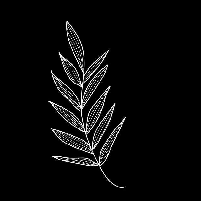 Free leaves nature foliage illustration