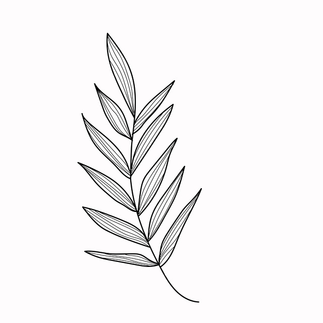 Free leaves nature foliage illustration