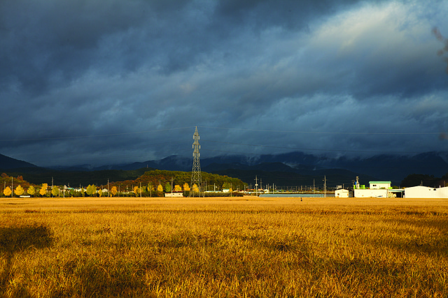 Free Korea Autumn photo and picture