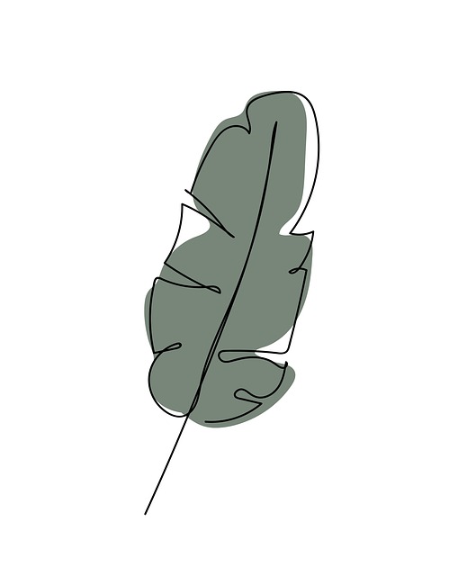 Free leaf feather foliage illustration