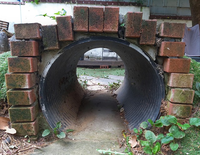Free Tunnel Cave photo and picture