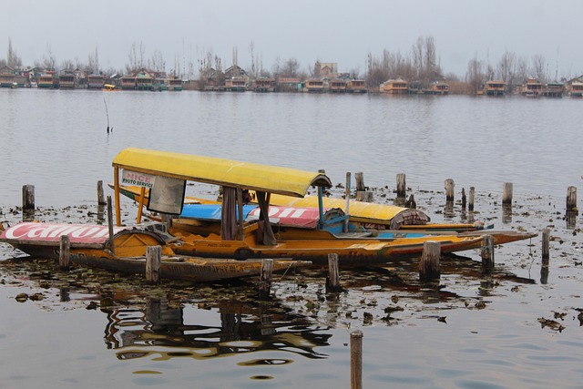 Kashmir, Dal Sø, Srinagar, Indien, Rejse