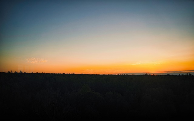 Sky, Sunset, Sunny, Skov, Natur, Fall