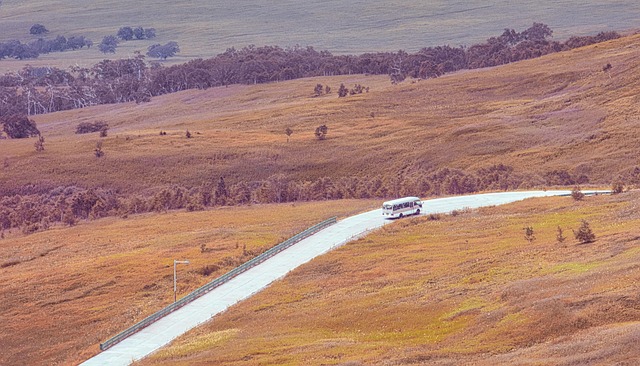 autumn, grassland, travel, van, self-driving tour, automotive, way, autumn colors