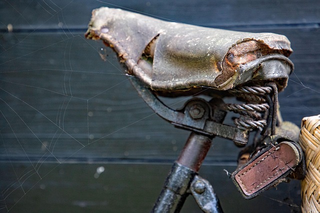 Free Bicycle Saddle photo and picture